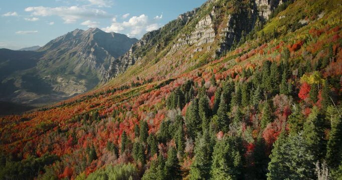 Majestic Drone Shot Soaring Over Autumn Forest In Provo, Utah Rocky Mountains