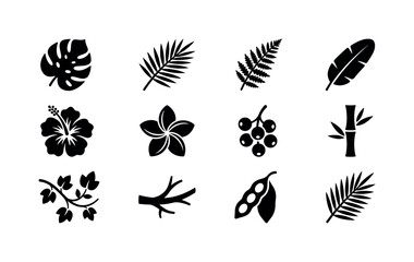 Obraz premium Exotic Plant Pattern, solid glyph icon set featuring monstera, palm frond, fern, banana leaf, hibiscus, plumeria, tropical berry, bamboo, vine, jungle branch, seed pod and coconut leaf, covering