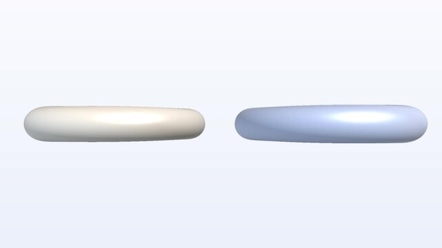 Two smooth rounded oblong 3D shapes side by side on white background
