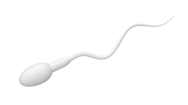 Sperm cell microscopic representation, biological human spermatozoon model for reproductive health, fertility medical concept isolated PNG with Transparent Background