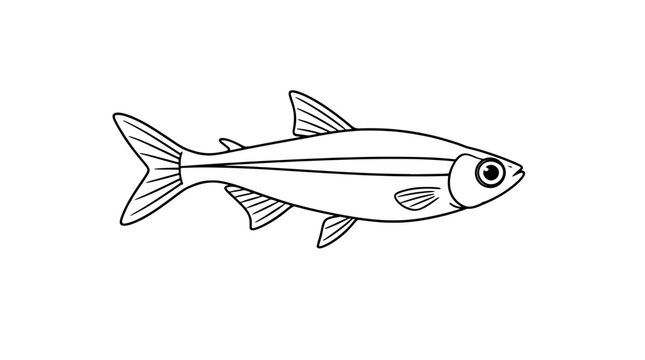 Black outline vector icon of a fish in side profile with forked tail fin, dorsal fins, long lateral stripe and round eye rendered in medium lines in centered composition highlighting sleek shape