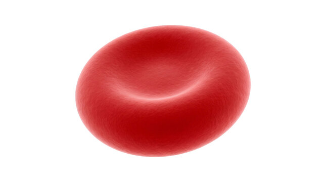 Red blood cell macro view, single human erythrocyte disc, microscopic hematology medical concept, oxygen carrier cell isolated PNG with Transparent Background