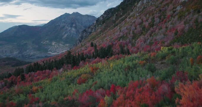 Overcast Sky Over Autumn Trees On Rocky Mountains - Aerial Shot