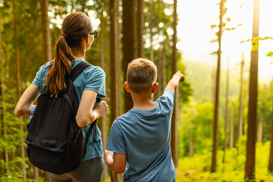 Mother and son hiking together in a sunlit forest as child points toward nature during family adventure