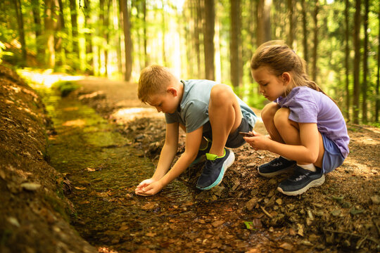 Boy and girl exploring a small forest stream together during a summer outdoor nature adventure