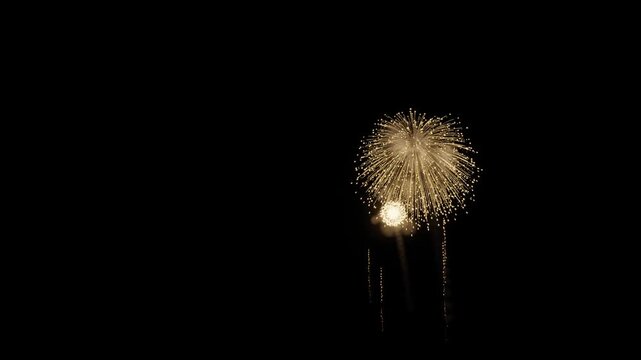 Slow Cinematic Fireworks Left Copy Space 3D Animation