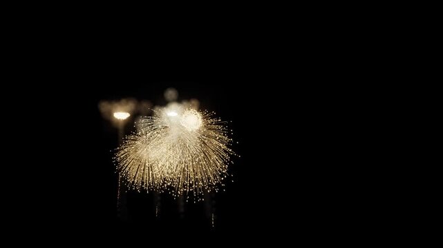 Golden Willow Fireworks Right Copy Space 3D Animation