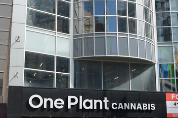Obraz premium One Plant Cannabis store sign outside 333 Yonge St, Toronto