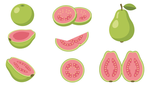 Fresh pink guava fruit vector illustration set featuring whole green fruits alongside sliced halves showing seeds isolated