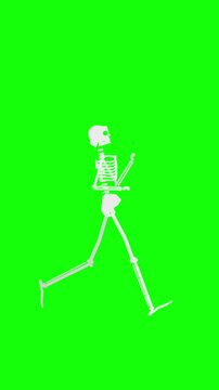pixel skeleton walking animation loop on green screen chroma key background