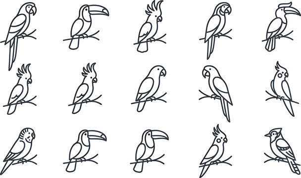 Exotic tropical birds thin line icon set featuring parrot toucan cockatoo budgie hornbill and macaw outline vectors