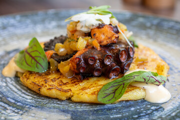 octopus with rice © Daniel Escobar Photo