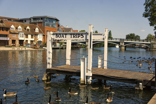 Wooden pier with a sign reading "BOAT TRIPS" on the River Thames in Windsor, with Windsor Town Bridge and riverside architecture visible in the background. 