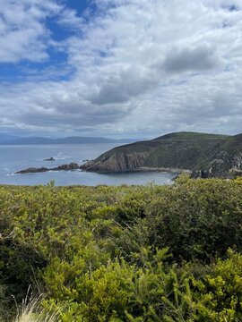 Dramatic dolerite sea cliffs and rugged coastal scrub viewed from Cape Bruny Lighthouse on Bruny Island, Tasmania