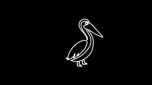 Minimal continuous line art animation of pelican bird walking isolated on dark black background, neon white line drawing vector motion graphic
