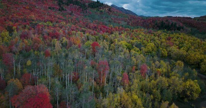 Soaring Over Beautiful Autumn Colors On Rocky Mountain And Windy Road At Dusk