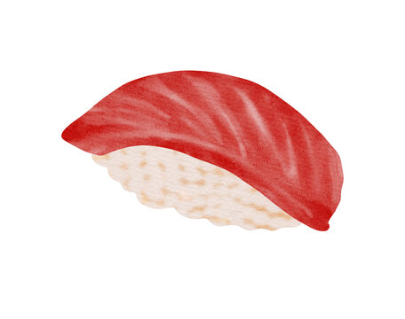 Watercolor Illustration of Tuna Nigiri Sush