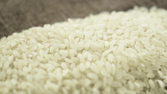 White round rice grains revealing from blurred background on burlap fabric, 4K