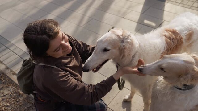 Woman interacts affectionately with two dogs in outdoor park setting petting and smiling at them. Woman wears brown hoodie while white coated Borzoi like dogs respond to her touch on paved