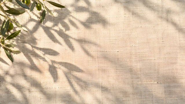オリーブの枝の影が生成りのリネンクロスに落ちる背景 / Olive Branch Shadow on Natural Linen Tablecloth Background