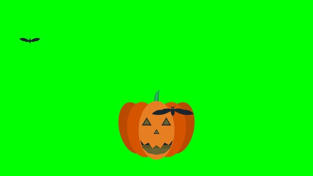 A premium flat vector Halloween animation featuring a glowing jack-o'-lantern, dropping spider, and flying bats on a greenscreen background for chroma keying.