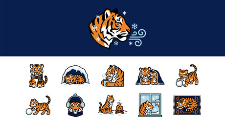 Fototapeta premium Flat vector icon set of tiger head, colorful lineal color symbols as editable graphic elements for web and apps