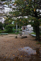 Obraz premium Autumn park scene with fallen yellow leaves on the ground, wooden picnic table, and benches in Osaka, Japan. 