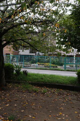 Obraz premium Autumn park scene with fallen yellow leaves on the ground, wooden picnic table, and benches in Osaka, Japan. 