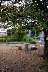 Fototapeta premium Autumn park scene with fallen yellow leaves on the ground, wooden picnic table, and benches in Osaka, Japan. 