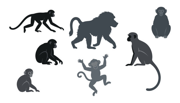 Monkey silhouettes collection with various wild apes baboon and chimpanzee characters standing sitting jumping isolated on white background