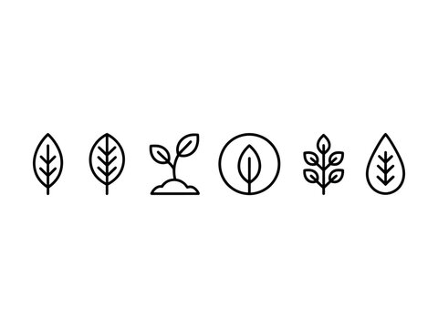 Six different black leaf and plant icons in a minimalist line art style for ecology, nature, and organic concepts, presented in a clean, modern vector illustration set
