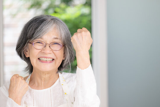 笑顔で元気に暮らす日本人の高齢女性、健康寿命、アクティブシニア、老後の暮らし、健康的なカメラ目線の笑顔ガッツポーズ