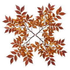 Obraz premium Symmetrical Composition of Four Autumn Tree Branches with Vibrating Orange and Brown Leaves Arranged in a Cross Shape, Isolated on Pure White Background for Seasonal Fall Design Projects