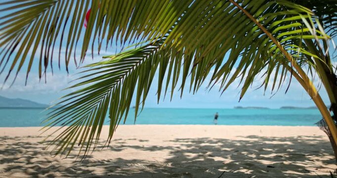 Palm tree leaves framing a view of a white sand beach, turquoise ocean, and a distant island, creating a serene and idyllic vacation scene on Koh Samui, Thailand. Tropical nature paradise background