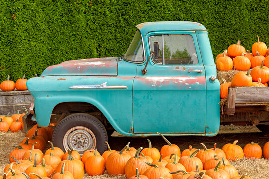 Vintage teal pickup truck loaded with orange pumpkins