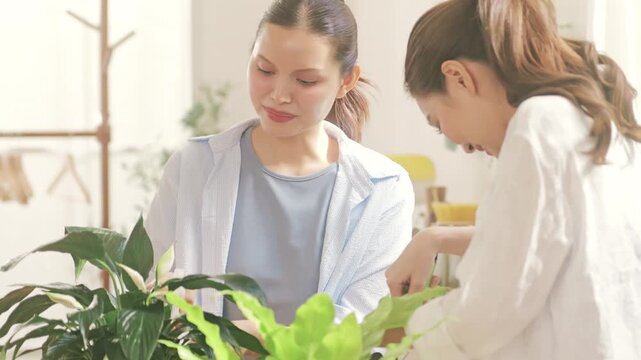 Happy young lesbian couple taking care of indoor plants near a window.