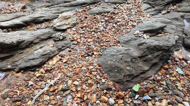 Natural Texture of Coastal Rocks and Colorful Pebbles