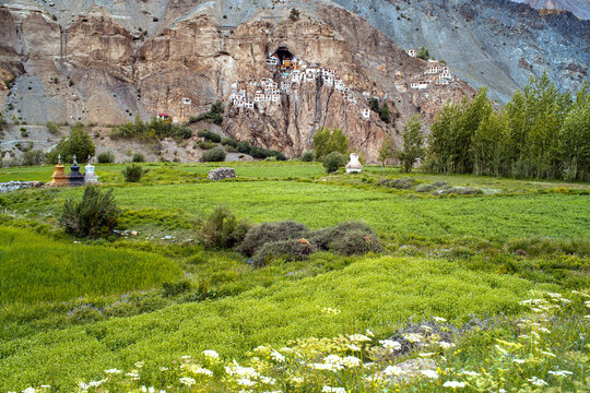 Phuktal Monastery in Zanskar Valley, Ladakh, India with Green Fields and Dramatic Mountain Landscape.
