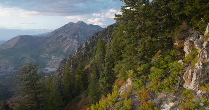 Beautiful Trees On Side Of Utah Rocky Mountain At Sunset - Drone Shot
