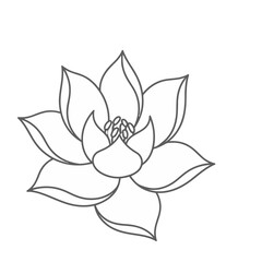 Fototapeta premium Outline of a Lotus Flower