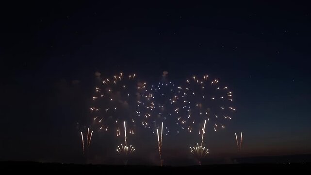 Colorful fireworks glowing in dark night sky