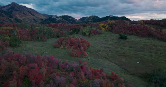 Cinematic Shot Soaring Over Autumn Trees On Hill In Utah Rocky Mountains At Dusk