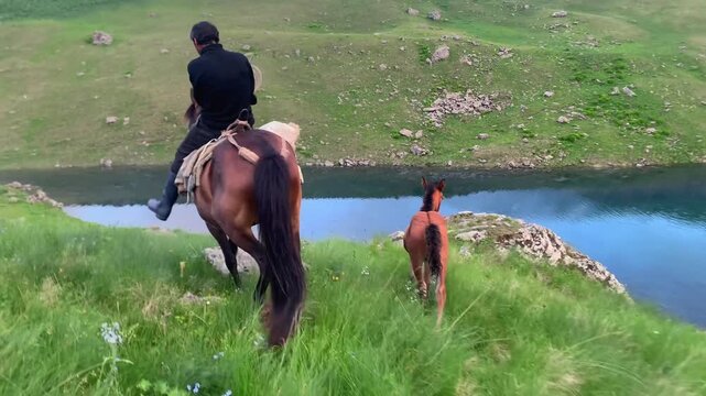 Rider riding horse from rear view across a mountain pasture while a foal follows beside an alpine lake, showing rural transport, equestrian travel, livestock movement and highland farming activity