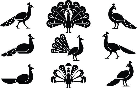 Geometric Peacock Bird Silhouette Icon Set Featuring Minimalist Flat Shapes and Ornate Fan Tails for Modern Luxury Wildlife Graphic Designs