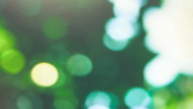 beautiful blurred background image with soft bokeh effect created by natural light filtering through leaves, ideal for nature themes and artistic projects.