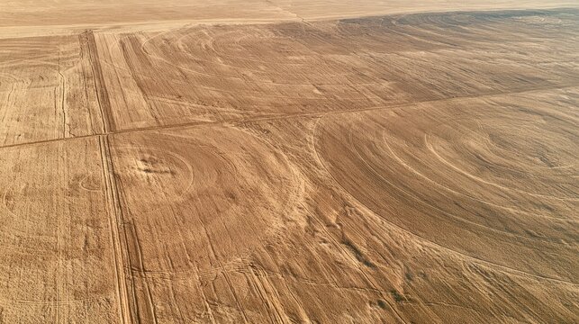 An immense Australian wheat farm seen from above, geometric patterns.