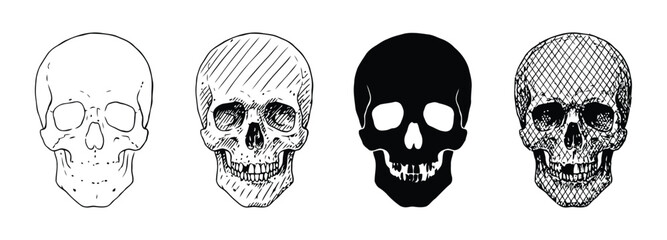Fototapeta premium Skull icon set showing varied artistic illustrative