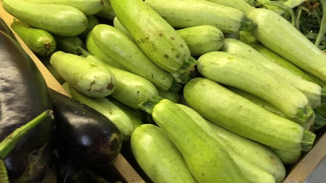 Shopper selecting zucchini at a vegetable counter, high-angle close-up of a hand reaching into a pile of green squash beside purple eggplants, showing fresh produce shopping and everyday food choices