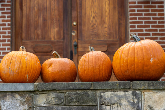 Pumpkins in front of wooden door