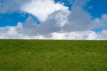 Obraz premium Meadow meets dramatic white cumulus clouds. Open sky rises above the meadow. Meadow scenery defines peaceful rural freedom. Green grass covers the meadow horizon.